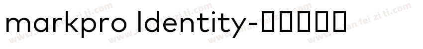 markpro ldentity字体转换